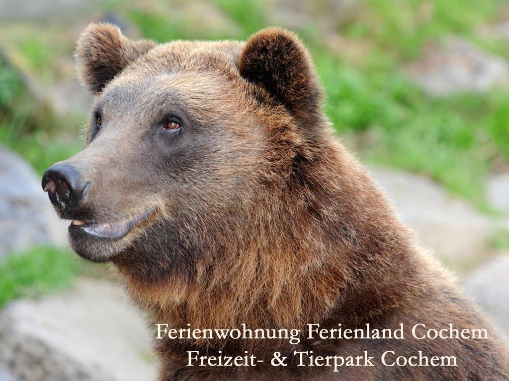 Ferienwohnungen Ferienland Cochem Bruttig-Fankel Esterno foto
