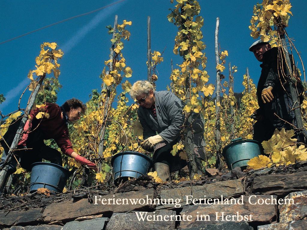 Ferienwohnungen Ferienland Cochem Bruttig-Fankel Esterno foto