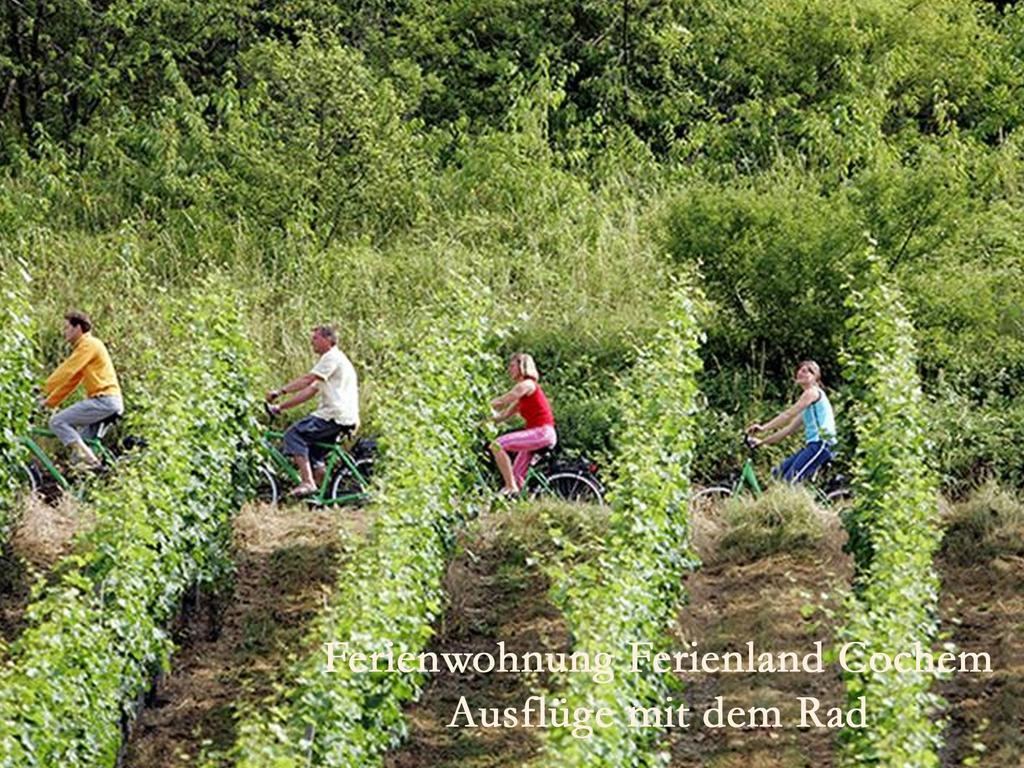 Ferienwohnungen Ferienland Cochem Bruttig-Fankel Esterno foto