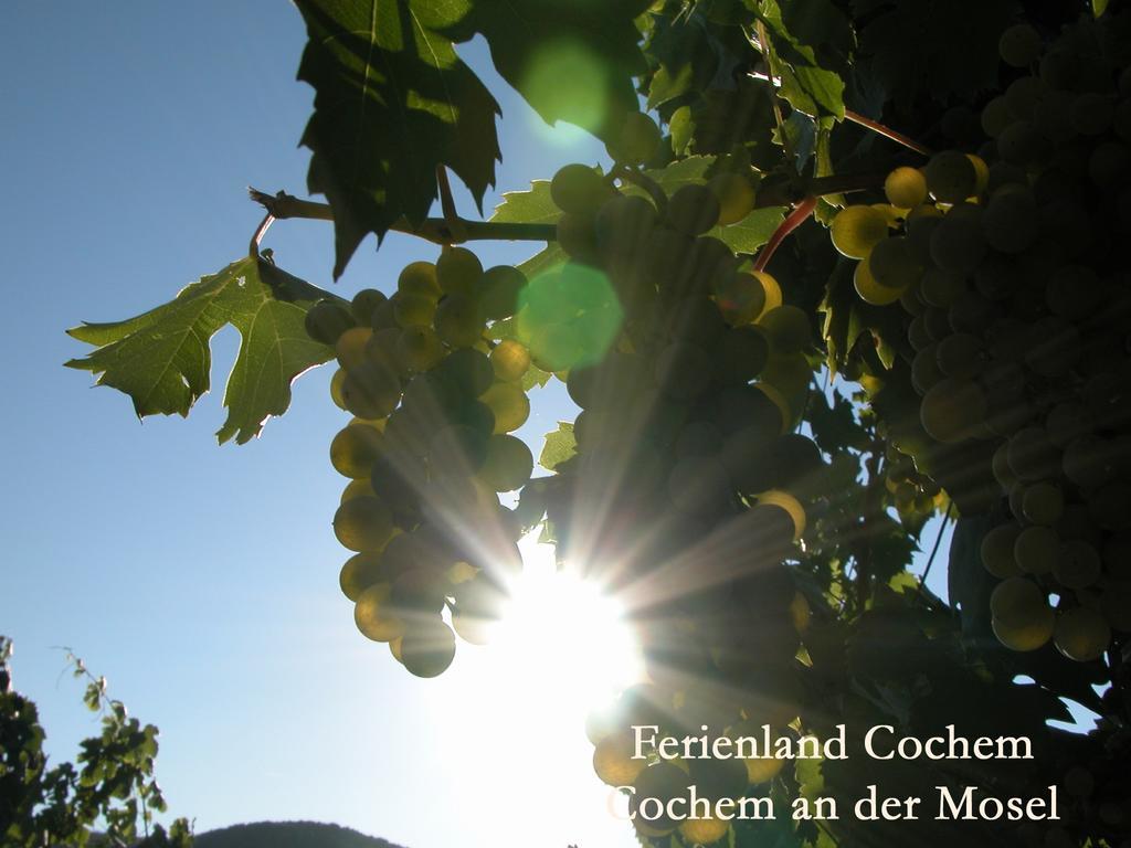 Ferienwohnungen Ferienland Cochem Bruttig-Fankel Esterno foto
